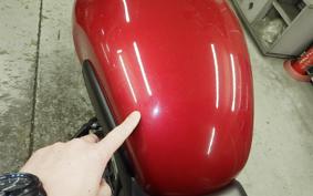 TRIUMPH SCRAMBLER400X 2024