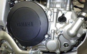 YAMAHA WR250R 2022 DG15J