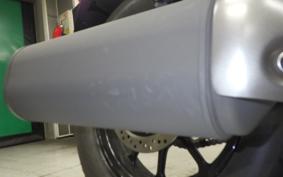 KAWASAKI ELIMINATOR400-3 2024 EL400A