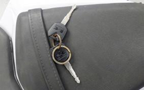 KAWASAKI Z250 ER250C