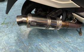 SUZUKI  SKY WAVE 250 TYPE S BASIC  CJ46A
