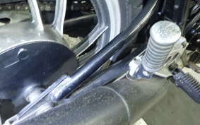 YAMAHA RZ 250 2009 4L3