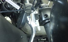 HARLEY FXLRST1920 2025