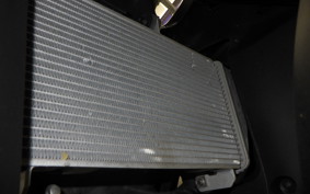 YAMAHA YZF-R25 2025 RG43J