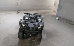 YAMAHA GRIZZLY125 AE03Y