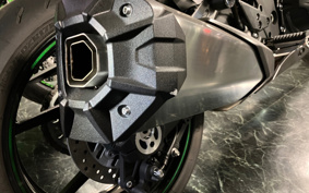 KAWASAKI NINJA 1000SX 2024 ZXT02K