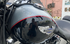 HARLEY FLSTN1340-1450 2015 JD5