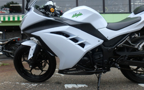 KAWASAKI NINJA 250 EX250L