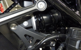 KAWASAKI Z900RS 2024 ZR900K