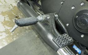 HARLEY XL883N 2009