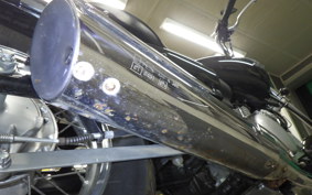 KAWASAKI ELIMINATOR 125 2024 BN125A