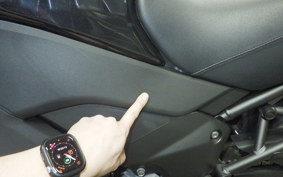 KAWASAKI VERSYS 1000 2015
