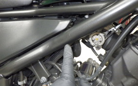 HONDA REBEL 250 2022 MC49