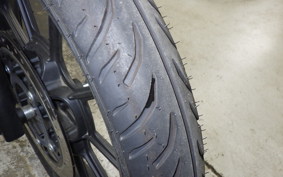 OTHER +ENFIELD ﾒﾃｵ350 2024