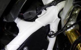 TRIUMPH TIGER 1200 RALLY EX 2023