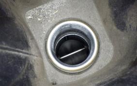 YAMAHA MAXAM 250 SG17J