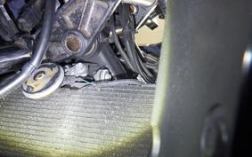 HONDA NM4 VULTUS -01 2019 RC82