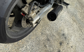 HONDA HORNET 250 MC31