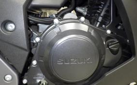 SUZUKI GSX250R
