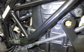 HUSQVARNA SVARTPILEN 250 2013