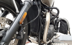 TRIUMPH BONNEVILLE T100 2024 DAD70G