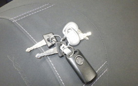 YAMAHA X-MAX 250 Trike 2019 SG70J