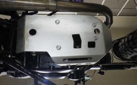 OTHER +UNREGISTERED MODEL by BDS250 1999