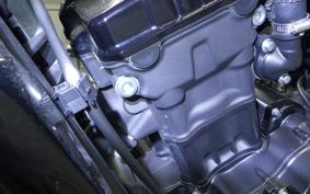 HONDA REBEL 250 2024 MC49