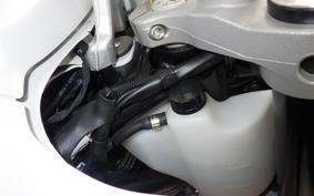 DUCATI DESSERT X 2022