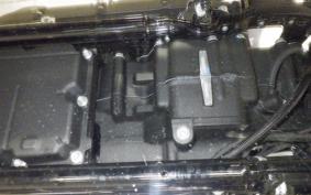 OTHER +HD. FXLRST1920 2018