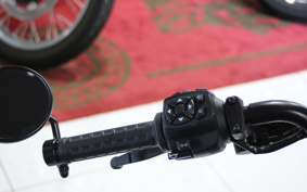 HARLEY  HARLEY RH1250S 2023 ZC4