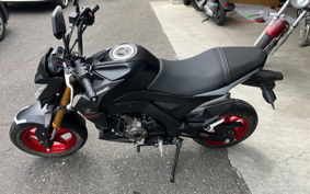 KAWASAKI Z125 PRO BR125H