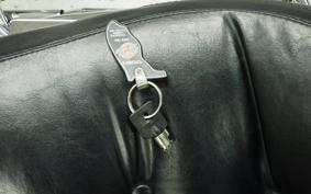 HARLEY FXDL 1340 2017