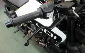 HUSQVARNA SVARTPILEN4 2024