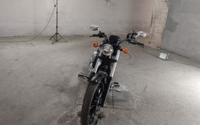 HONDA VT1300CX 2013 SC61