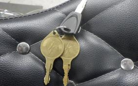 OTHER +UNREGISTERED MODEL by BDS250 2008