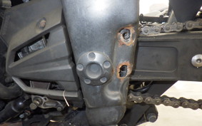 KAWASAKI NINJA 250 EX250L