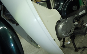 HONDA C50 SUPER CUB 2024 C50