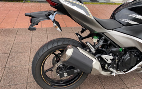 KAWASAKI NINJA 250 EX250P