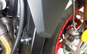 TRIUMPH STREET TRIPLE RX 2026