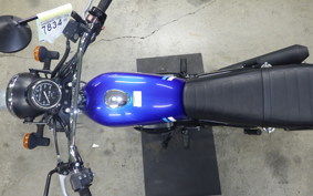 KAWASAKI 250TR 2021 BJ250F