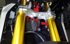BMW G310GS 2024