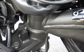KAWASAKI VULCANS 2025 EN650M