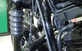 HARLEY FXBB1750 2020