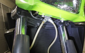 KAWASAKI ZRX1200 D 2017 ZRT20D