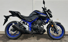 YAMAHA MT-25 RG43J