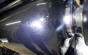KAWASAKI W800 2025 EJ800E