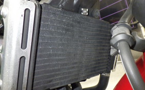 HONDA HORNET 250 2004 MC31