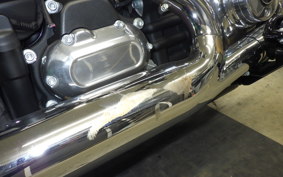 HARLEY FXBB1920 2026