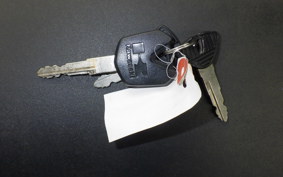 KAWASAKI VERSYS X250 A 2025 LE250D